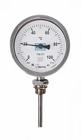 ТБф-221 (-20…0…+60)°С d.160 кт.1,0 IP65 РШх8 G1/2 L180 УТ000019923