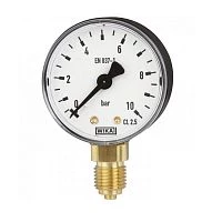 111.10.063 16 bar кл.2,5 G1/4" Корпус пластик УТ000003888