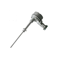 Метран-286-23-Exd-1-100-Н10-(-50...+300)°С-3-Т5-У1.1-ГП УТ000015065